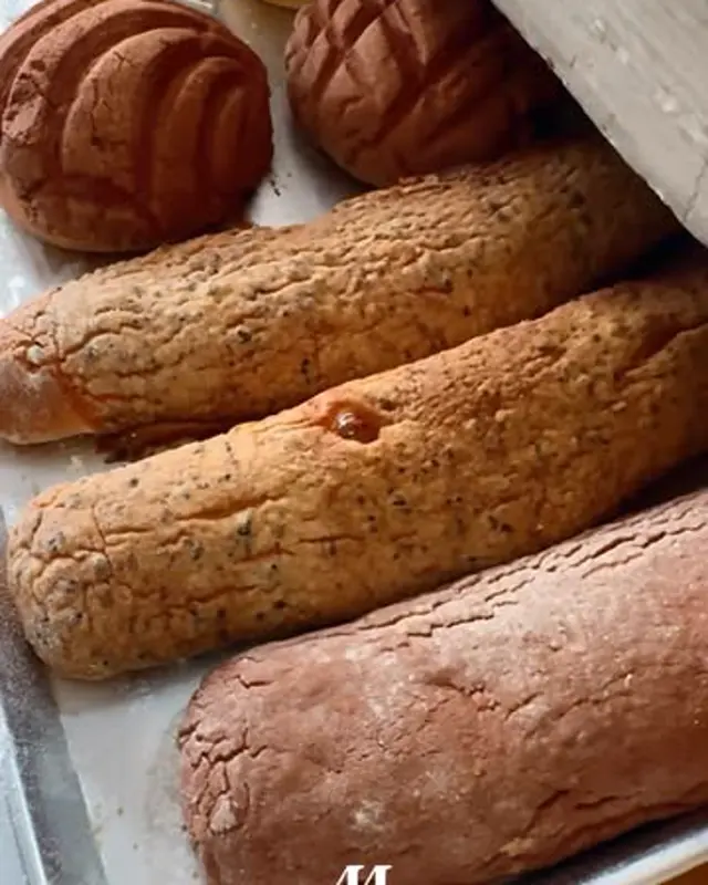 Conchas y teleras en charola de horno.